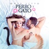 Perro Y Gato - Single