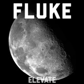 Fluke artwork