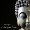 Meditative Music - Zen Relaxation Meditation Music, Ultimate New Age and Serenity Relaxing Sleep Music album lyrics, reviews, download