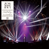 One Fine Day (Live-2015 Solo Live -One Fine Day-@Nihon Budokan, Tokyo) artwork