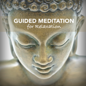 Guided Meditation for Deep Relaxation - Guided Meditation Audio & Relaxing Sleep Music to Ease Stress and Calm your Nerves - Zen Music Garden & Meditation Music
