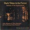 Dark Ships in the Forest