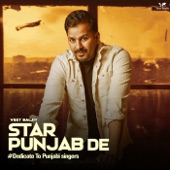 Star Punjab De artwork