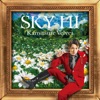 SKY-HI