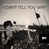 I Can't Tell You Why (Groove n' Soul Mixes) [feat. Nichelle Monroe] - EP artwork