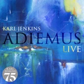 Adiemus (Live) artwork