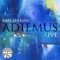 Adiemus (Live) artwork
