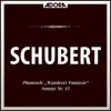 Schubert: Wandererfantasie - Klaviersonaten album lyrics, reviews, download
