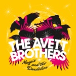 The Avett Brothers - Open Ended Life