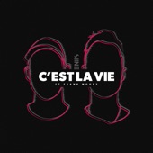 C'est La Vie (feat. Frank Moody) artwork