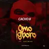 Omo Igboro (feat. Dotman) - Single album lyrics, reviews, download