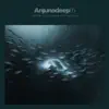 Anjunadeep 05 (Unmixed & Dj Ready) album lyrics, reviews, download