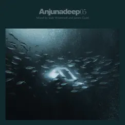 Anjunadeep 05 (Unmixed & Dj Ready) by Jody Wisternoff & James Grant album reviews, ratings, credits