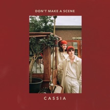 Don't Make A Scene artwork