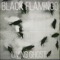Black Tide - Black Flamingo lyrics