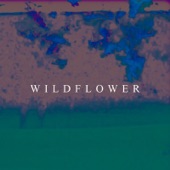 King Kuda - Wildflower