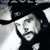 Waylon Jennings - The Shadow of Your Distant Friend