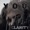 quartz pristato: Jim Black - Obscure Clarity