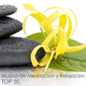 Top 50 Música de Meditación y Relajacion - 50 Musicas Relajantes para Descansar, Dormir y Soñar - Meditacion