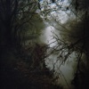 The Carrier - Single