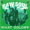 Raw Soul - Single