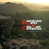 Barcelona Gipsy balKan Orchestra - More Sokol Pie