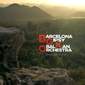 More Sokol Pie - Barcelona Gipsy balKan Orchestra