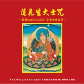 The Mantra of Guru Rinpoche artwork