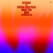 What You Need (feat. Matina Sous Peau) [Tensnake Remix] artwork