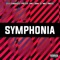 Symphonia (feat. Mc GW & MC Rick) - DJ Nanski lyrics