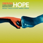 Hope (Benny Page & Dope Ammo Remix) artwork