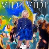 Vidi Vidi artwork