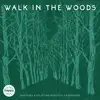 Walk In the Woods album lyrics, reviews, download