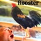 Rooster artwork