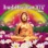 Buddha Bar XIV (Selected By DJ Ravin)