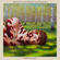 Say What You Will - James Blake