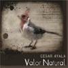 Valor Natural