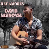 Hay Amores artwork