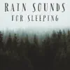 Rain Sounds For Sleeping album lyrics, reviews, download