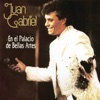 Juan Gabriel - No Vale la Pena (En Vivo en el Palacio de Bellas Artes)