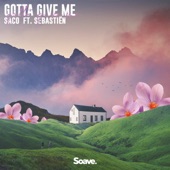 Gotta Give Me (feat. Sebastiën) artwork