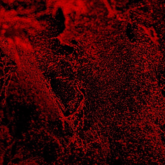 Cover artwork for Chainsaw