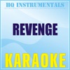 Revenge [Originally Performed by P!Nk Feat. Eminem] [Karaoke Version] - Single