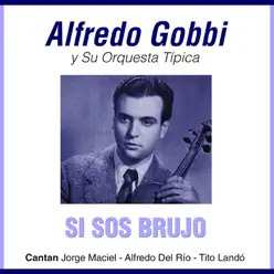 Grandes Del Tango 35 - Alfredo Gobbi