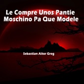 Le Compre Unos Pantie Moschino Pa Que Modele artwork