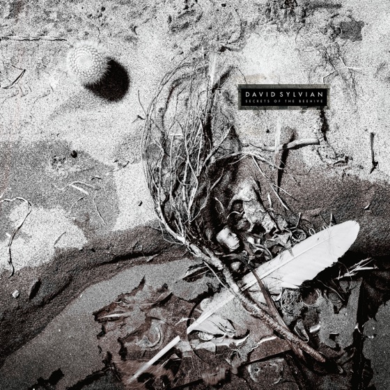 Cover artwork for Maria