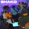 Shako - Barry Jhay lyrics