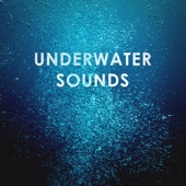 Underwater Sounds: Diving into Sleep and Detente ASMR artwork