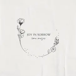 Joy in Sorrow by Emu Music album reviews, ratings, credits