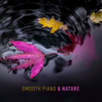 Piano Jazz Background Music Masters & Piano Bar Music Guys - Smooth Piano & Nature – Inspiring Jazz, Black & White Relaxation, Lounge of Peace, Best Soft Vibes artwork